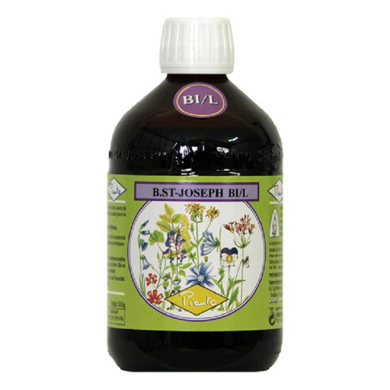 BIO-EXPORT LIEVITO BI/L 510G